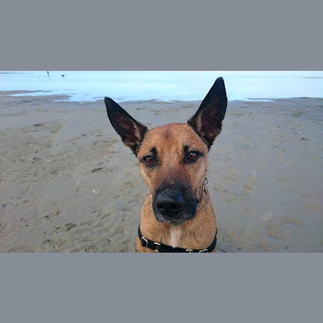 Photo of Peeka The Perfect!