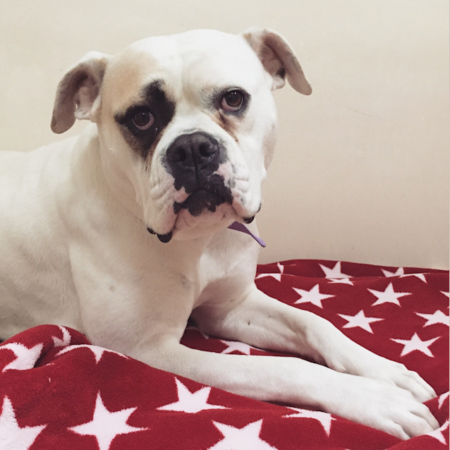 Photo of Tasha