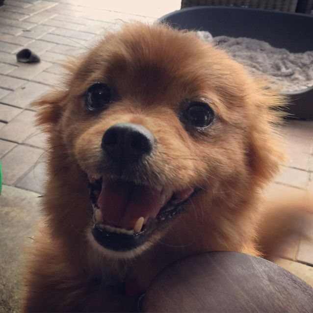 Photo of Bucket ***Under Application***