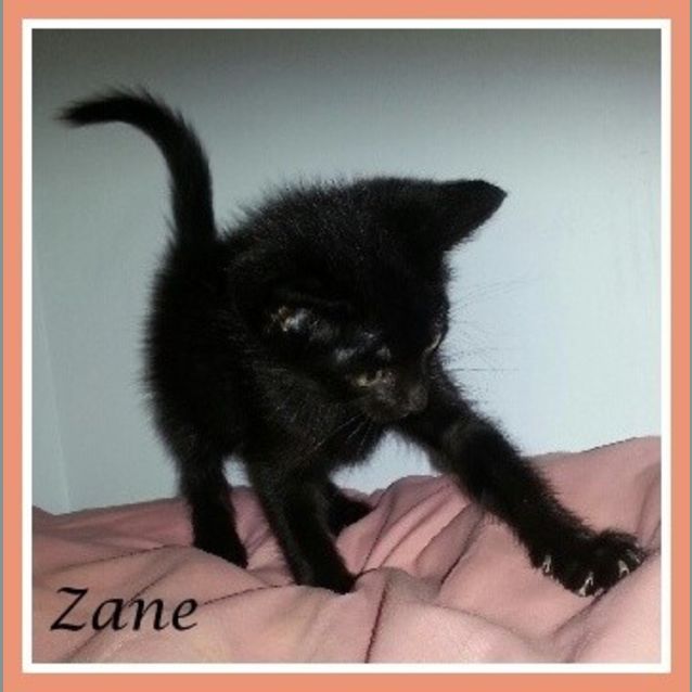 Photo of Zane