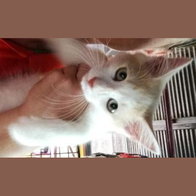 Photo of Cyd