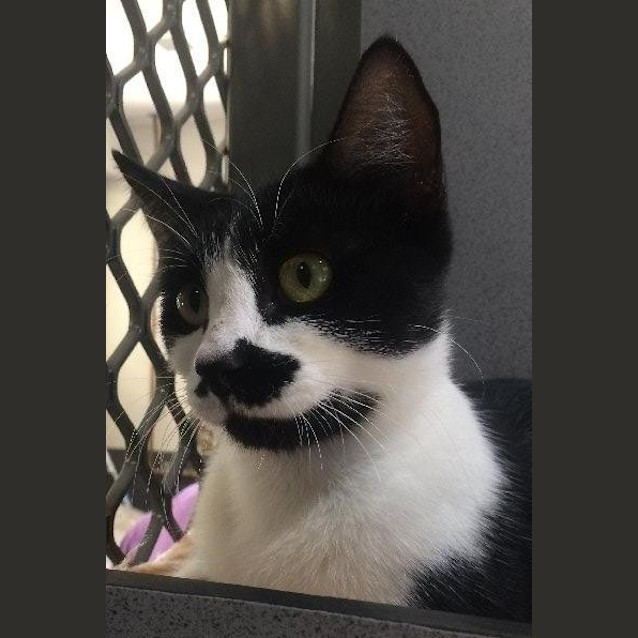Photo of Sally