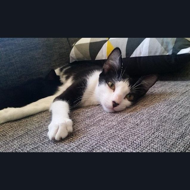 Photo of Kula