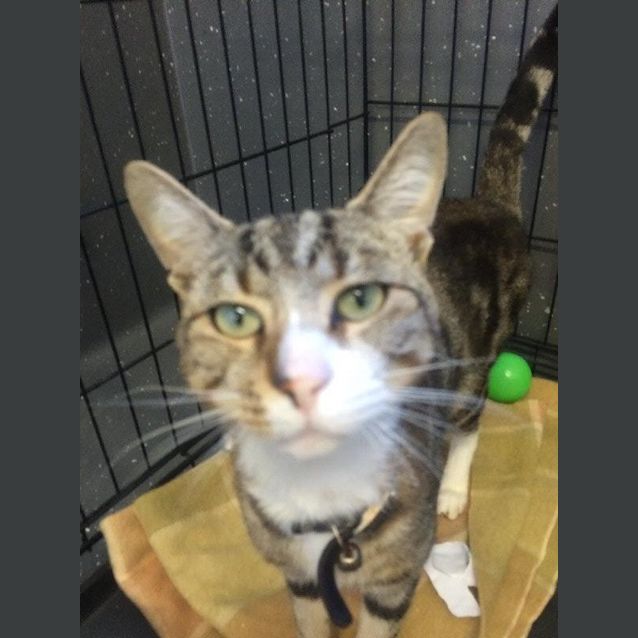 Photo of Errol