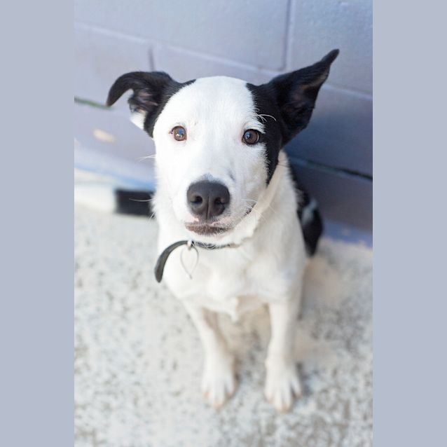 Photo of Tucker