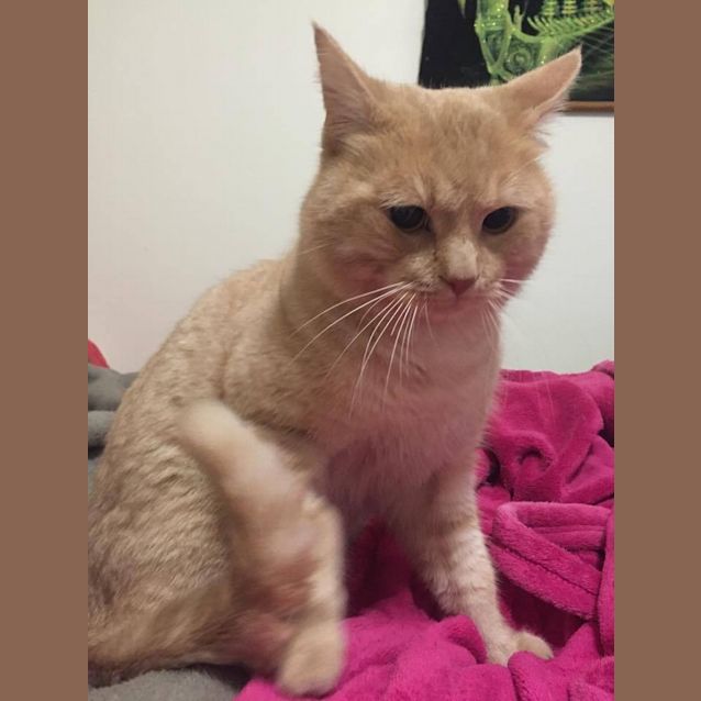 Photo of Pablo