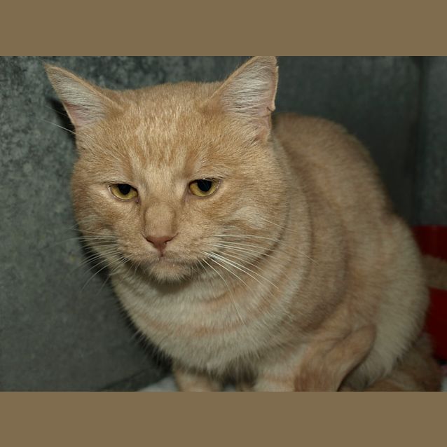 Photo of Pablo