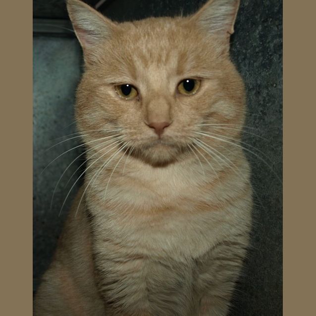 Photo of Pablo