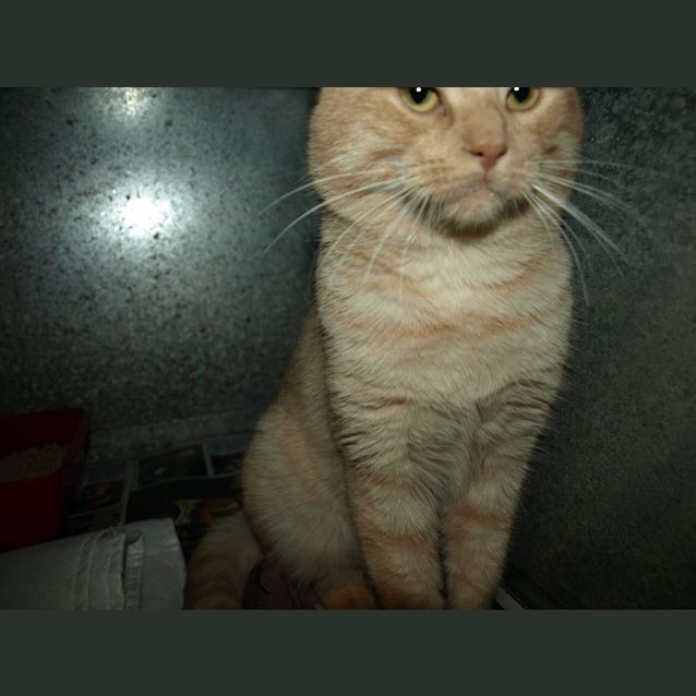 Photo of Pablo