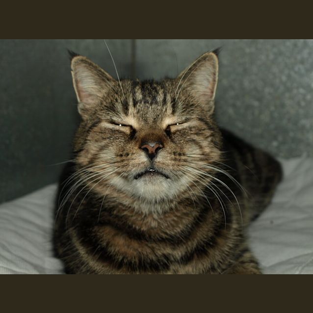 Photo of Bobbi