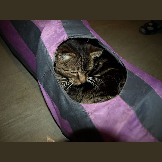Photo of Bobbi