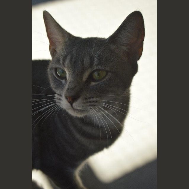Photo of Flur