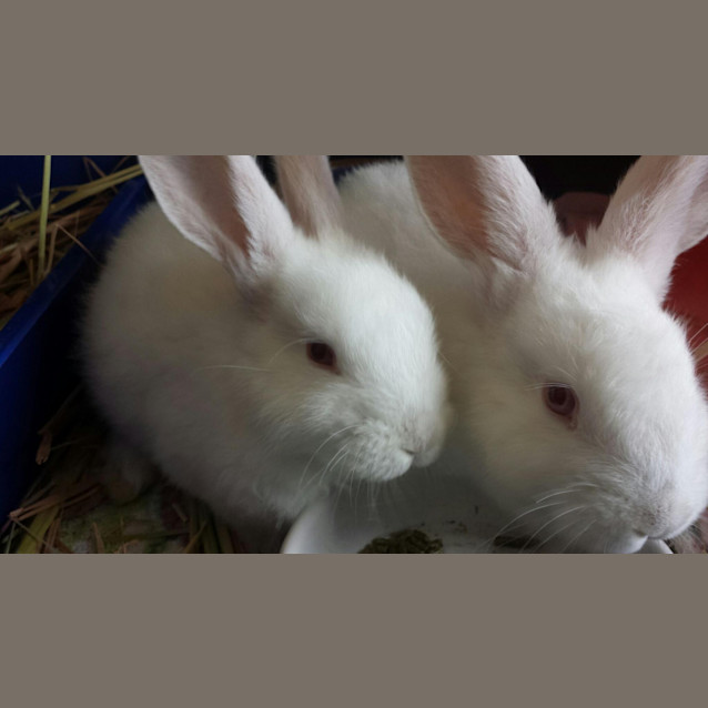 Photo of Hugs & Kisses