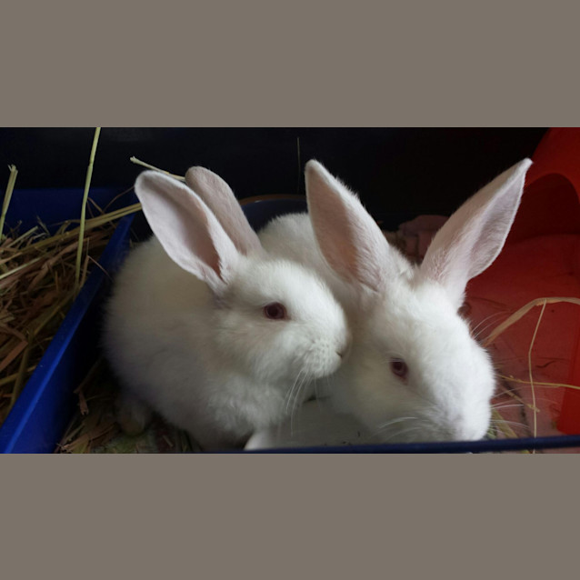 Photo of Hugs & Kisses