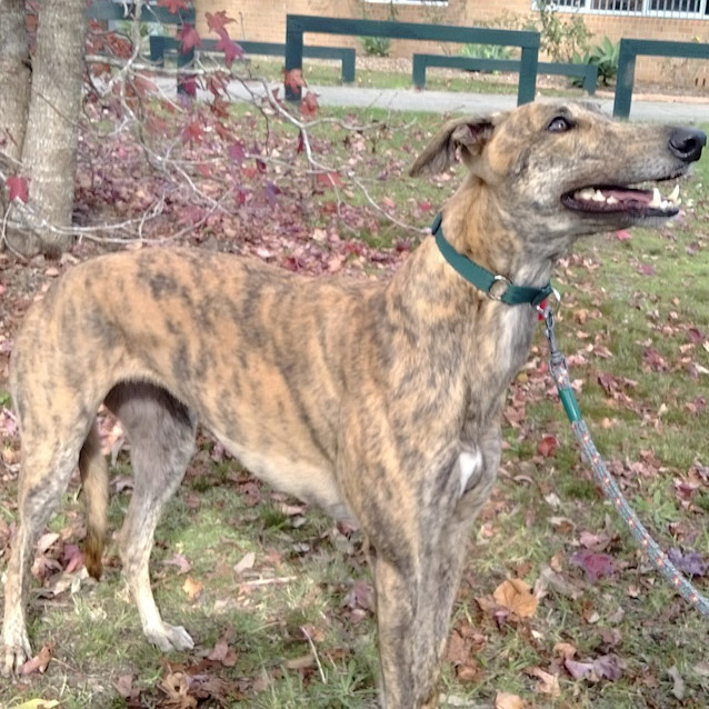 Photo of Petal Is Checking Out Her New Home