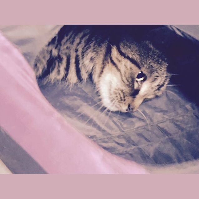 Photo of Bobbi