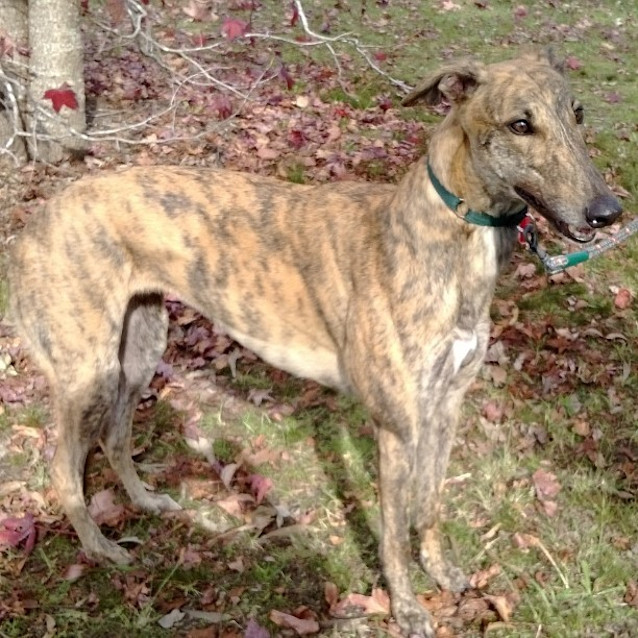 Photo of Petal Is Checking Out Her New Home