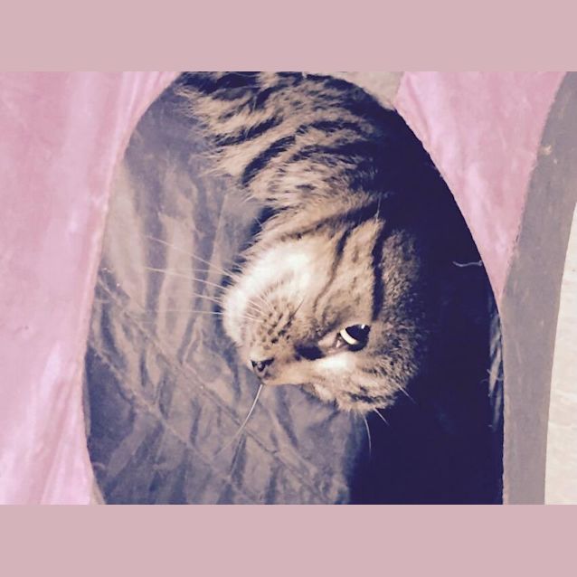 Photo of Bobbi