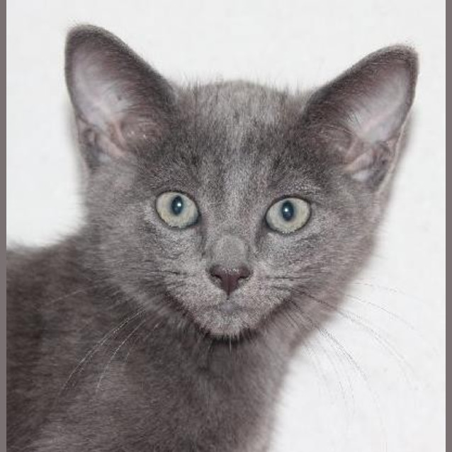 Photo of Smoko