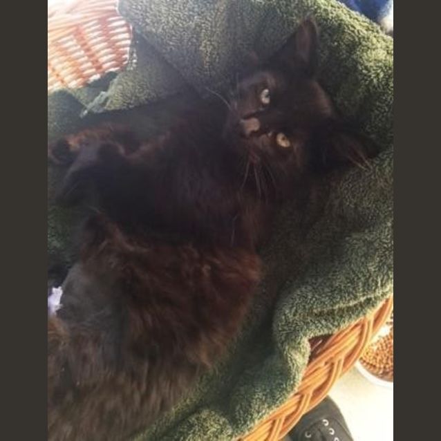 Photo of Charlotte