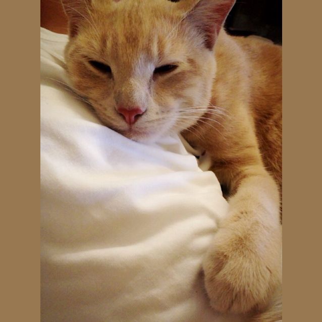 Photo of Tigger 