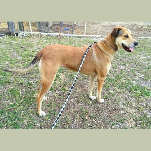 Photo of Tia