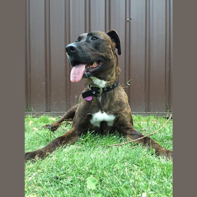 Photo of Lucy