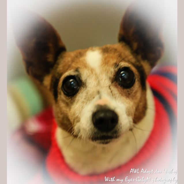 Photo of Belle