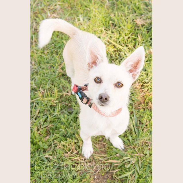 Photo of Jazz