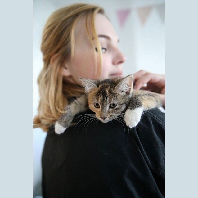 Photo of Evie