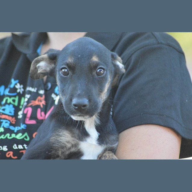 Photo of Timmy