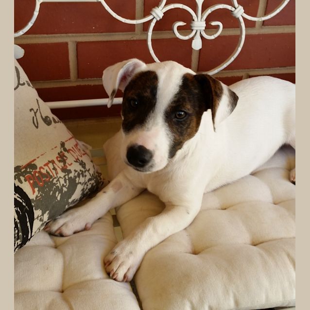 Photo of Floyd *On Trial In His New Home*