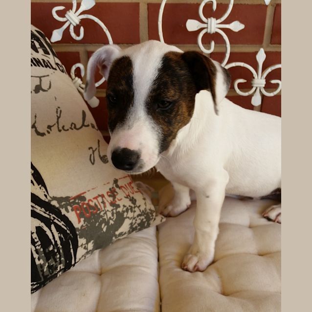 Photo of Floyd *On Trial In His New Home*