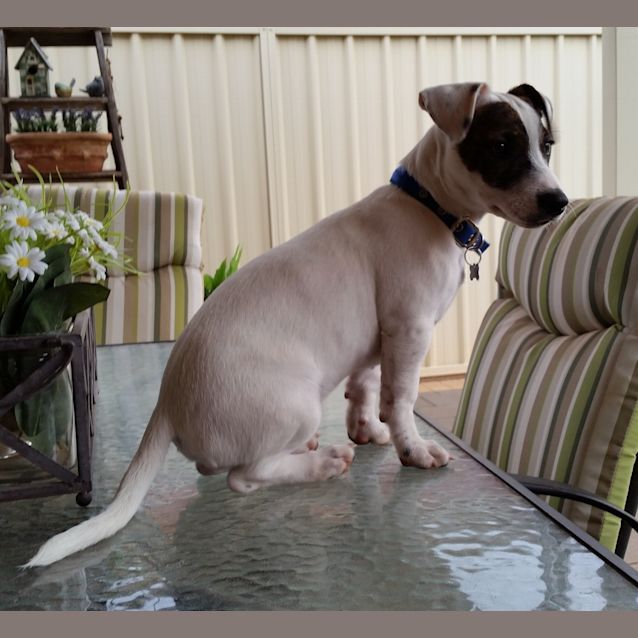 Photo of Floyd *On Trial In His New Home*