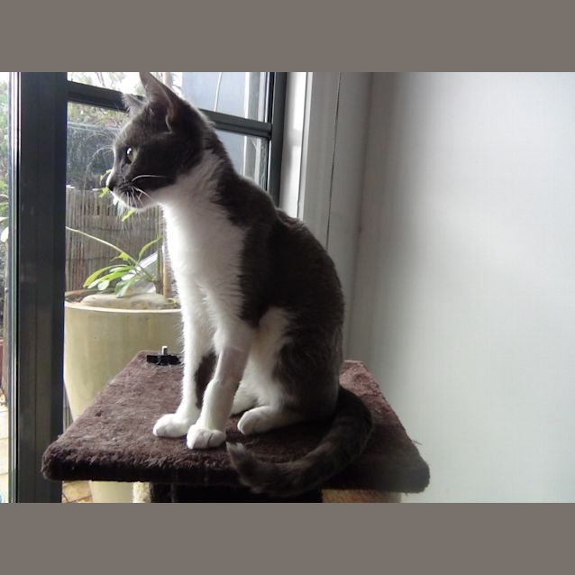 Photo of Little Ricky