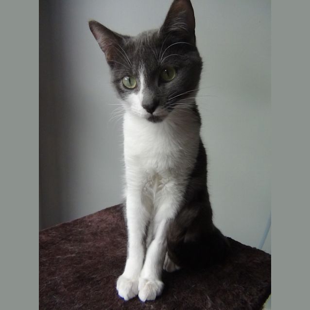 Photo of Little Ricky