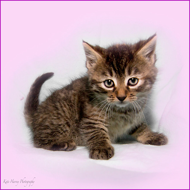 Photo of Rhea