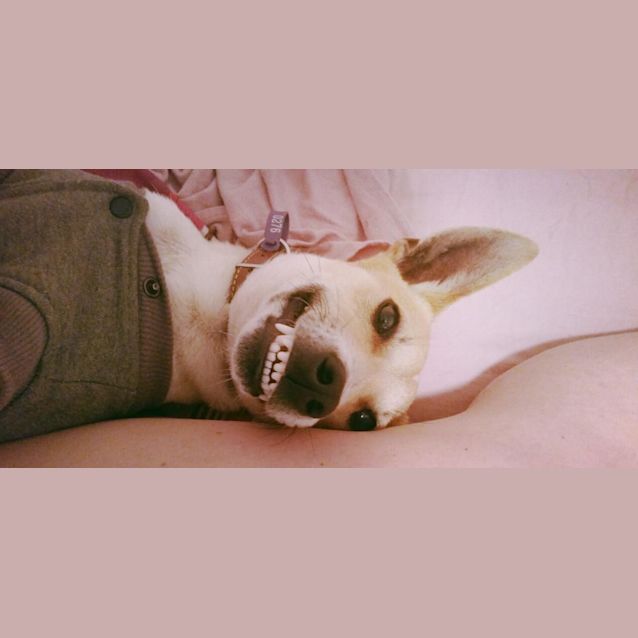 Photo of Jumba 