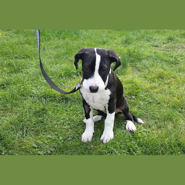 Photo of Maggie Moo