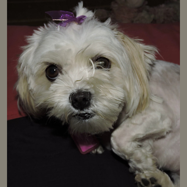 Photo of Molly