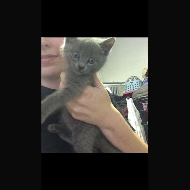 Photo of Pixie (Was Peggy)