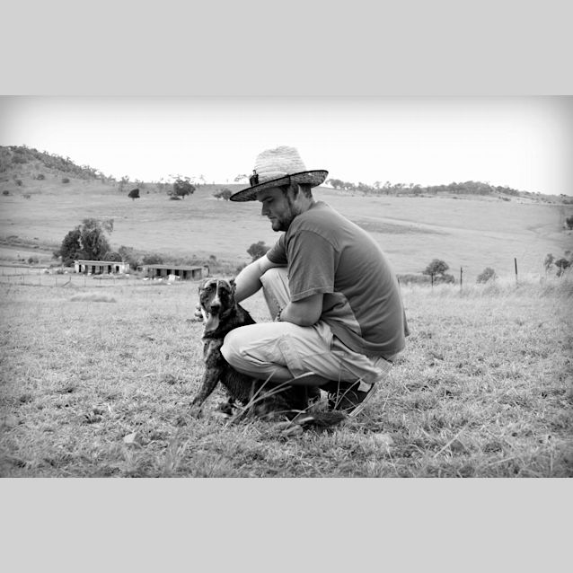 Photo of Wilma (Adoption Pending)