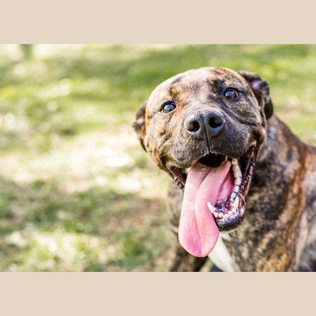 Photo of Bella ~ #1500616