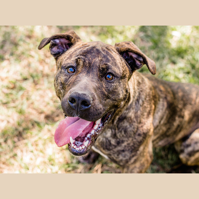 Photo of Bella ~ #1500616