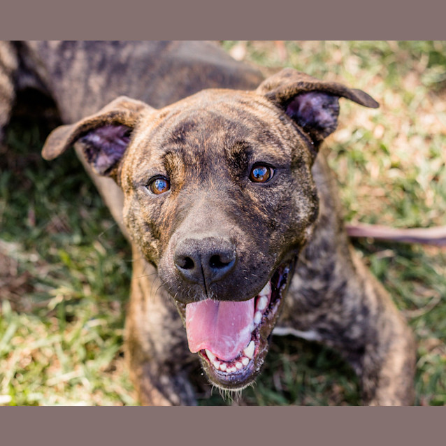 Photo of Bella ~ #1500616