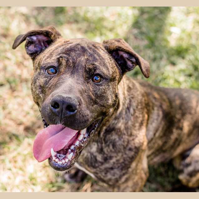 Photo of Bella ~ #1500616