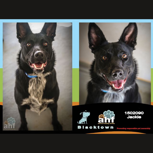 Photo of Jackie ~ #1502090