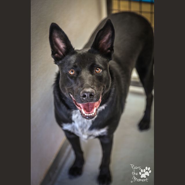 Photo of Jackie ~ #1502090