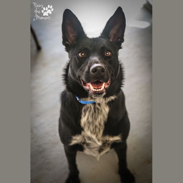 Photo of Jackie ~ #1502090