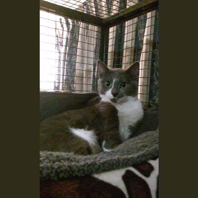 Photo of Little Miss Truffle